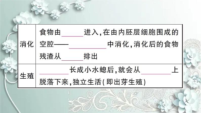 人教版生物八年级上册 第一节 腔肠动物和扁形动物 课件05