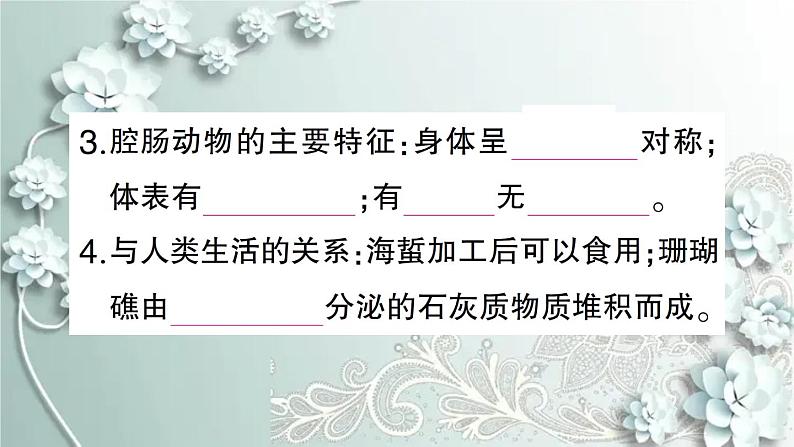 人教版生物八年级上册 第一节 腔肠动物和扁形动物 课件06