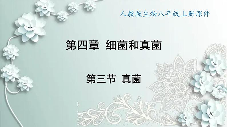 人教版生物八年级上册 第三节 真菌 课件第1页