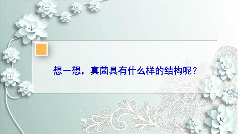 人教版生物八年级上册 第三节 真菌 课件第7页