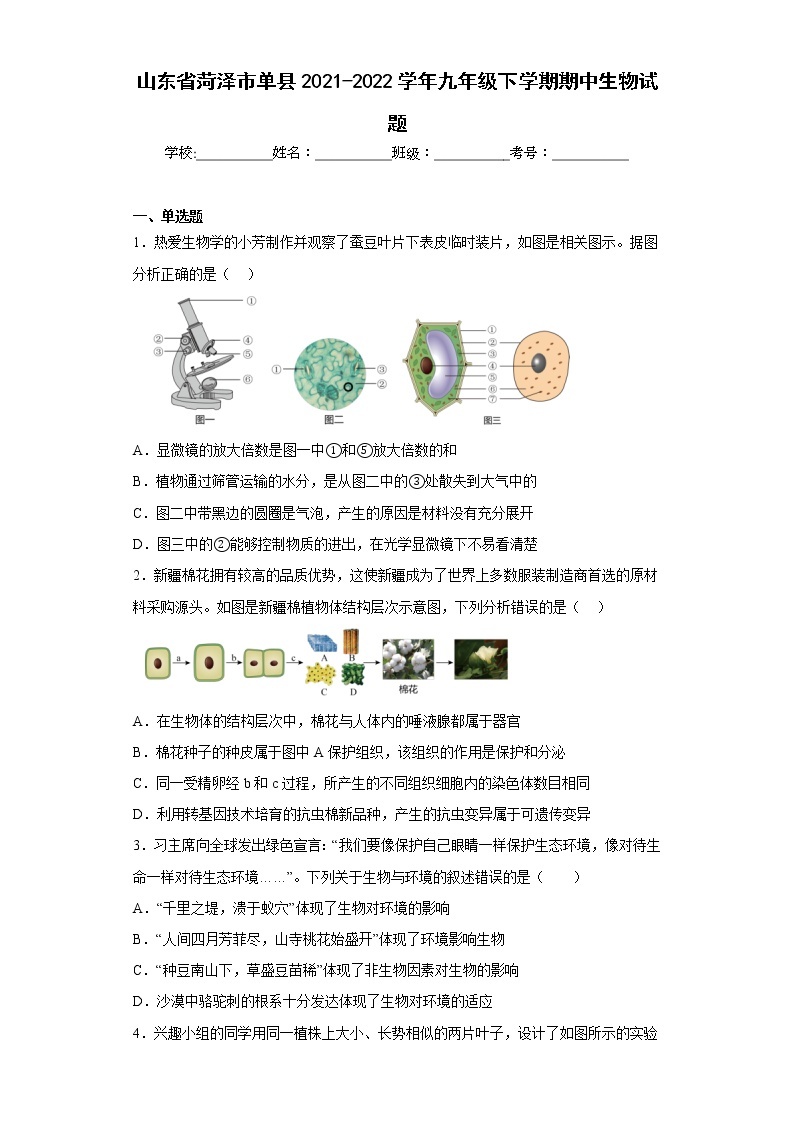 山东省菏泽市单县2021-2022学年九年级下学期期中生物试题(含答案)01