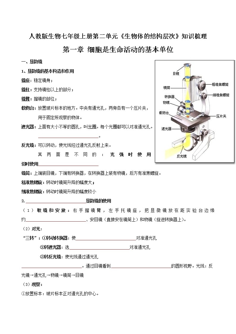 【必背知识清单】人教版生物七年级上册 2.1 细胞是生命活动的基本单位 章节知识清单01