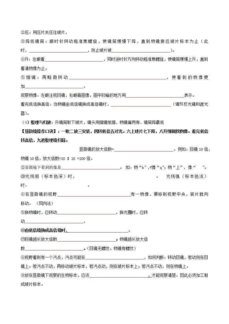 【必背知识清单】人教版生物七年级上册 2.1 细胞是生命活动的基本单位 章节知识清单02