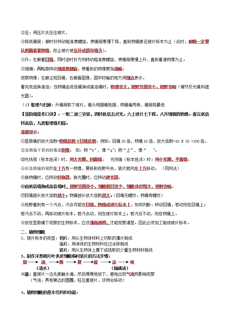【必背知识清单】人教版生物七年级上册 2.1 细胞是生命活动的基本单位 章节知识清单02
