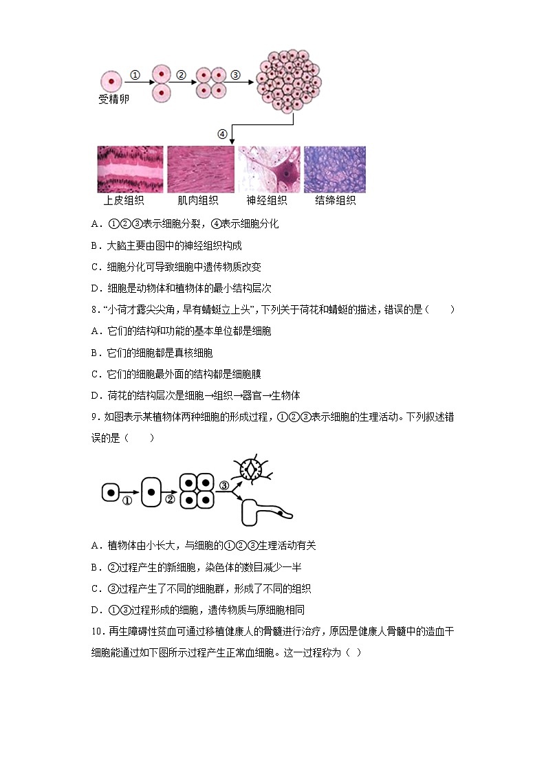 江苏省徐州市邳州市2021-2022学年七年级下学期期中生物试题(含答案)03