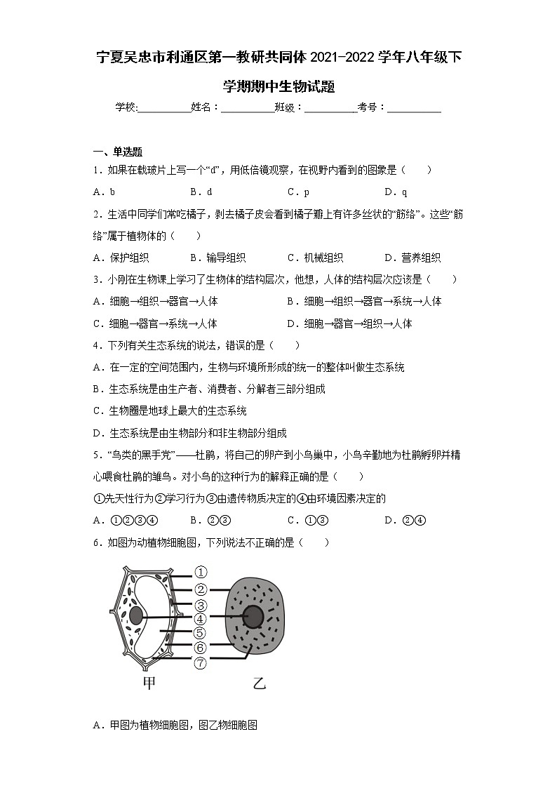 宁夏吴忠市利通区第一教研共同体2021-2022学年八年级下学期期中生物试题(含答案)第1页