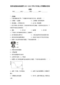 陕西省渭南市临渭区2021-2022学年八年级上学期期末生物试题(含答案)
