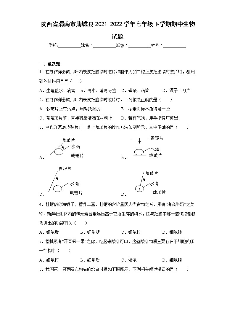 陕西省渭南市蒲城县2021-2022学年七年级下学期期中生物试题(含答案)第1页