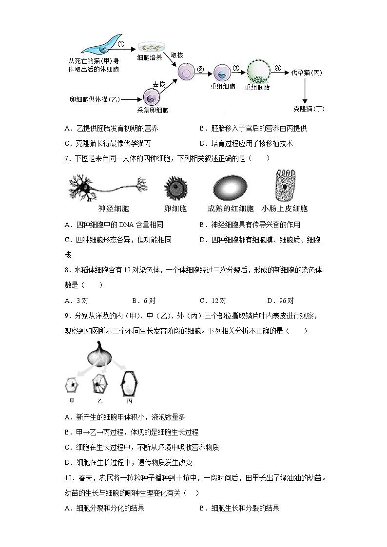陕西省渭南市蒲城县2021-2022学年七年级下学期期中生物试题(含答案)第2页