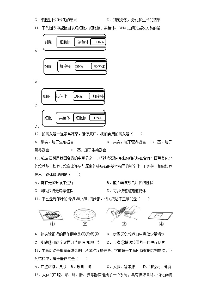 陕西省渭南市蒲城县2021-2022学年七年级下学期期中生物试题(含答案)第3页