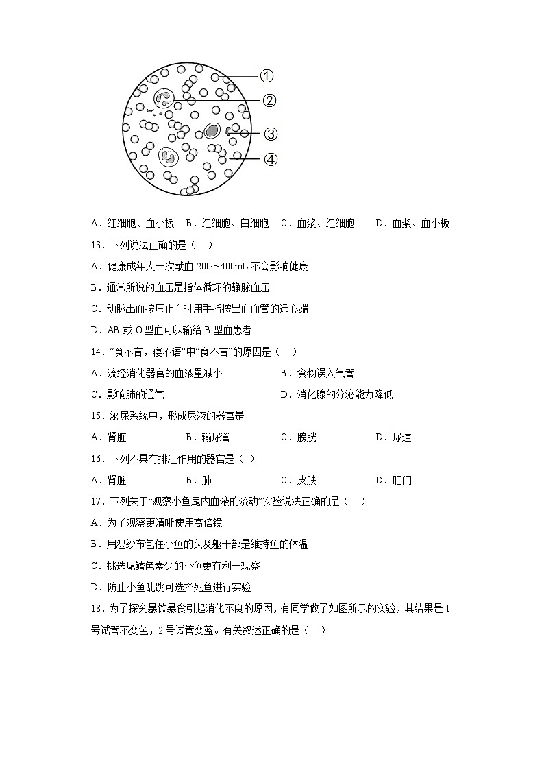 福建省南平市光泽县2021-2022学年七年级下学期期中生物试题(含答案)02