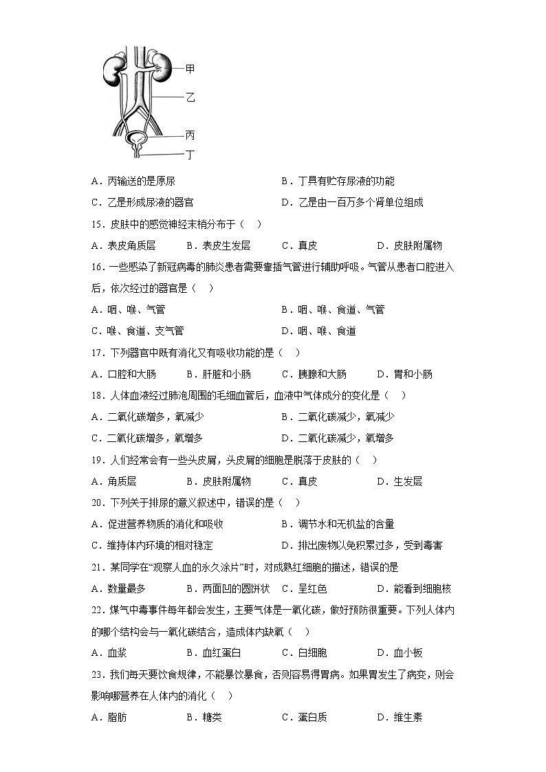 贵州省毕节市2021-2022学年七年级下学期期中生物试题(含答案)第3页