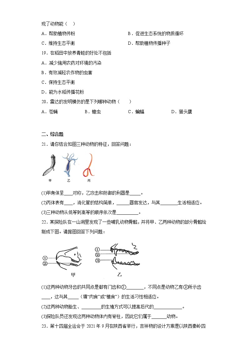 吉林省吉林市永吉县2022-2023学年八年级上学期期中生物试题(含答案)第3页