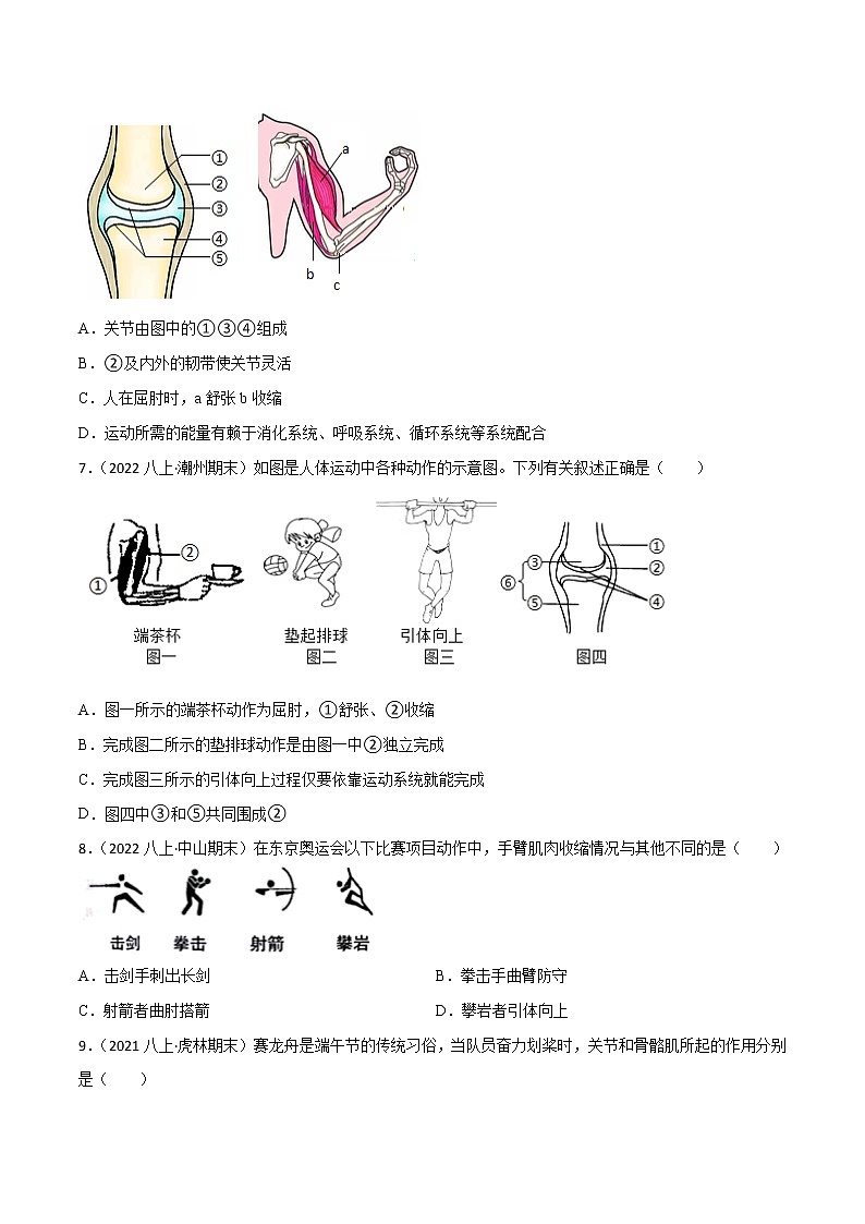 专题03 动物的运动和行为及动物在生物圈中的作用(知识梳理 专题过关)-八年级生物上学期期中期末考点大串讲(人教版)03