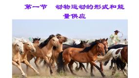 苏教版八年级上册第一节 动物运动的形式和能量供应课文内容ppt课件