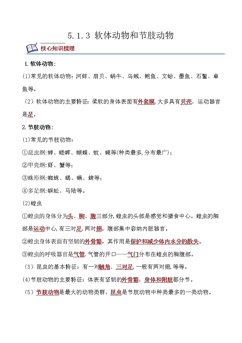 【培优分级练】人教版生物八年级上册 5.1.3《软体动物和节肢动物》同步分级练(含解析)01