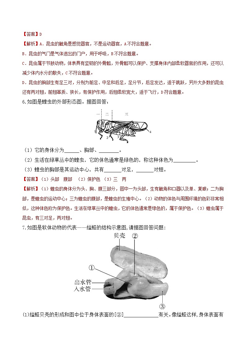 【培优分级练】人教版生物八年级上册 5.1.3《软体动物和节肢动物》同步分级练(含解析)03