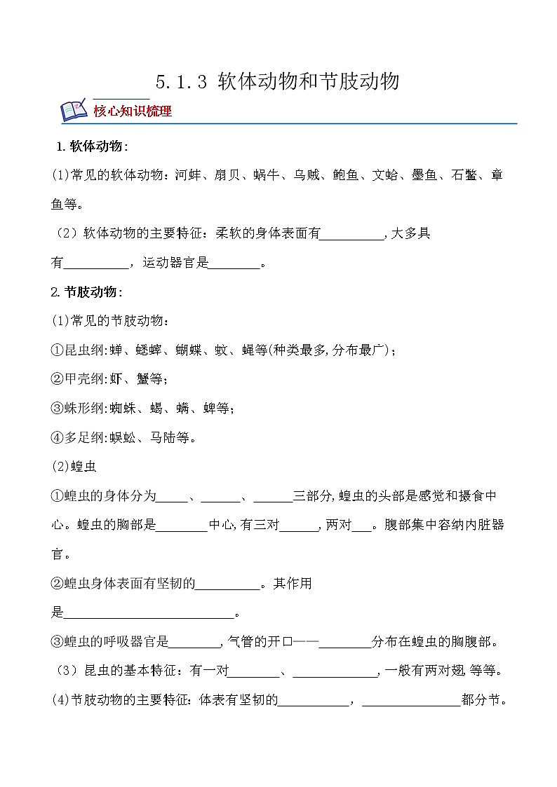 【培优分级练】人教版生物八年级上册 5.1.3《软体动物和节肢动物》同步分级练(含解析)01