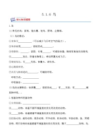 初中生物人教版 (新課標(biāo))八年級(jí)上冊(cè)第六節(jié) 鳥(niǎo)當(dāng)堂達(dá)標(biāo)檢測(cè)題