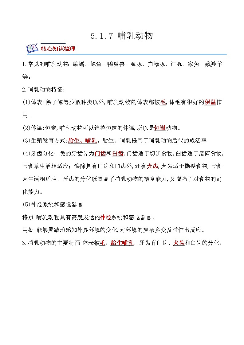 【培优分级练】人教版生物八年级上册 5.1.7《哺乳动物》同步分级练(含解析)01