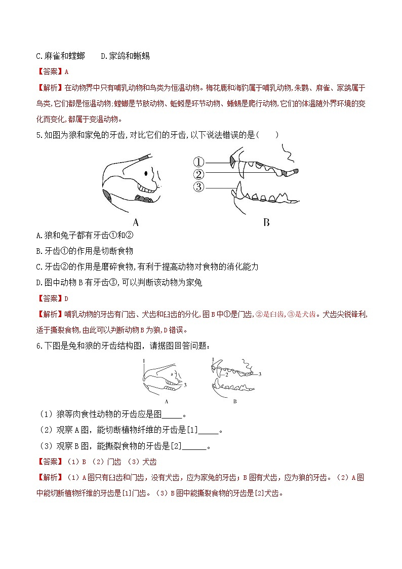 【培優(yōu)分級(jí)練】人教版生物八年級(jí)上冊(cè) 5.1.7《哺乳動(dòng)物》同步分級(jí)練(解析版)第3頁(yè)