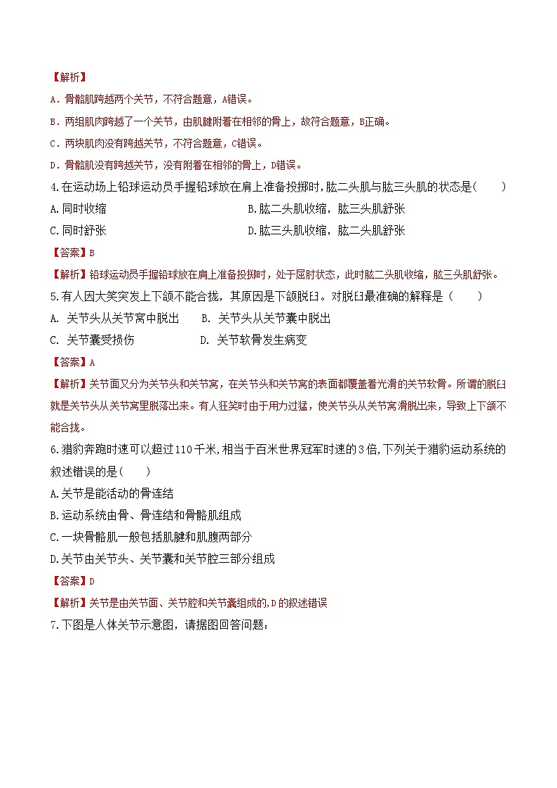 【培优分级练】人教版生物八年级上册 5.2.1《动物的运动》同步分级练(解析版)第3页