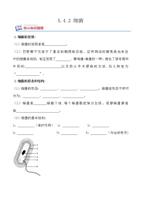 初中生物人教版 (新課標(biāo))八年級(jí)上冊(cè)第五單元 生物圈中的其他生物第四章 細(xì)菌和真菌第二節(jié) 細(xì)菌課時(shí)訓(xùn)練