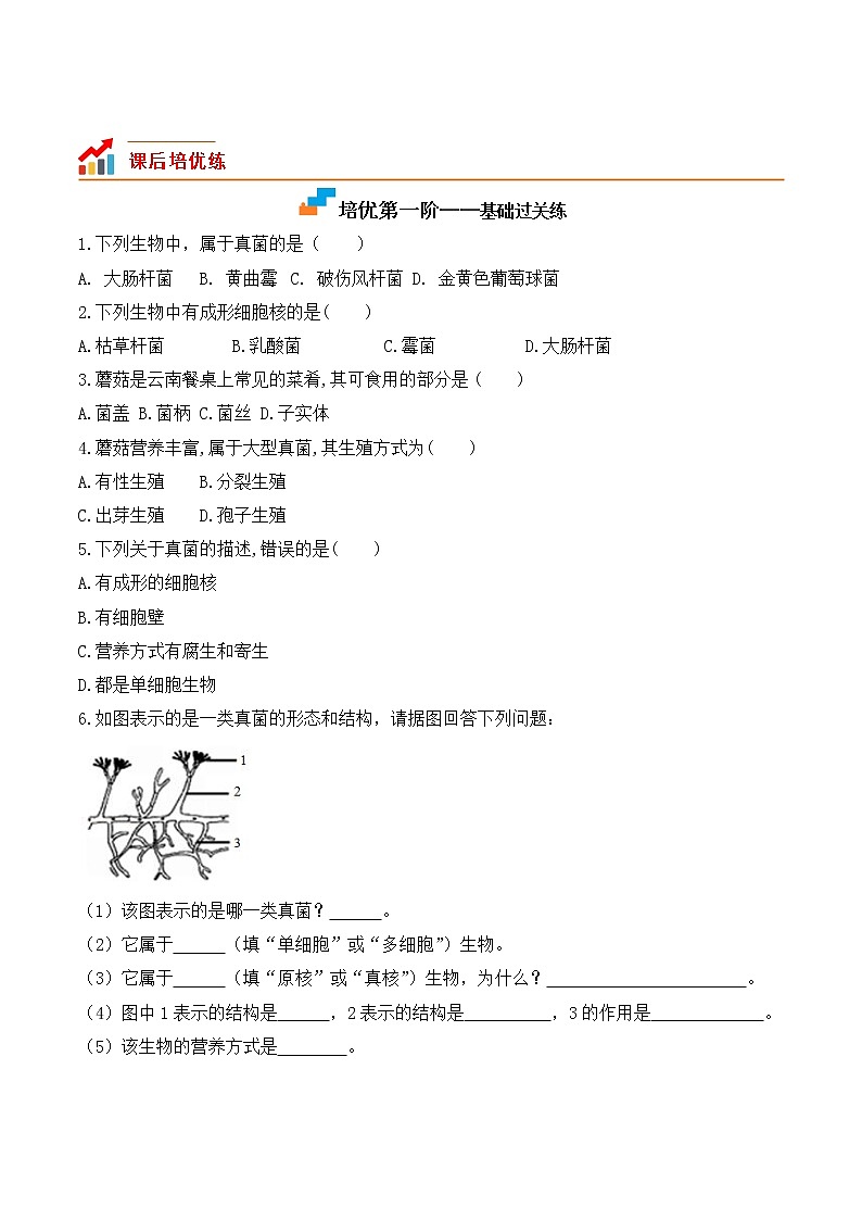 【培优分级练】人教版生物八年级上册 5.4.3《真菌》同步分级练(含解析)02