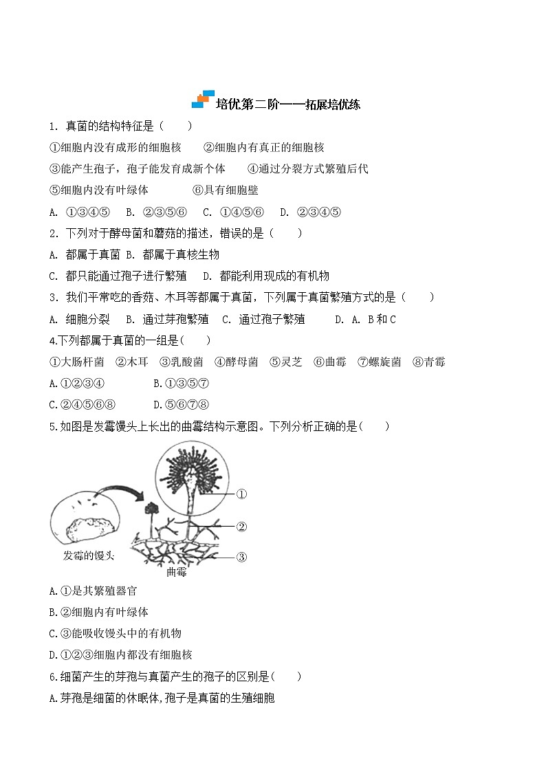 【培优分级练】人教版生物八年级上册 5.4.3《真菌》同步分级练(含解析)03