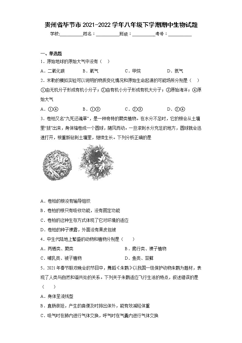 贵州省毕节市2021-2022学年八年级下学期期中生物试题(含答案)01