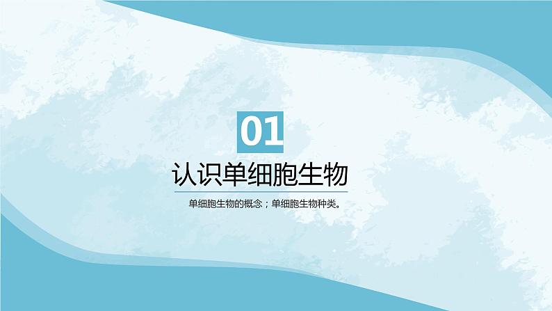 七年级生物 4单细胞生物第5页