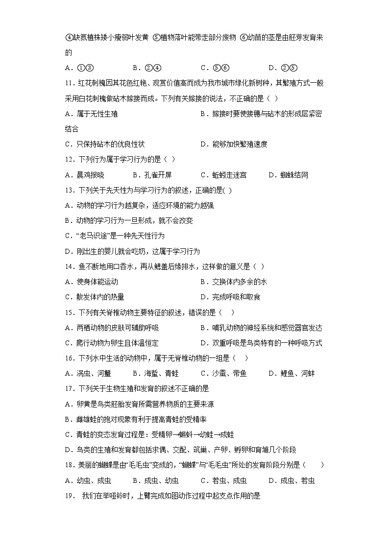 山东省菏泽市鄄城县2022-2023学年九年级上学期期中生物试题(含答案)第3页