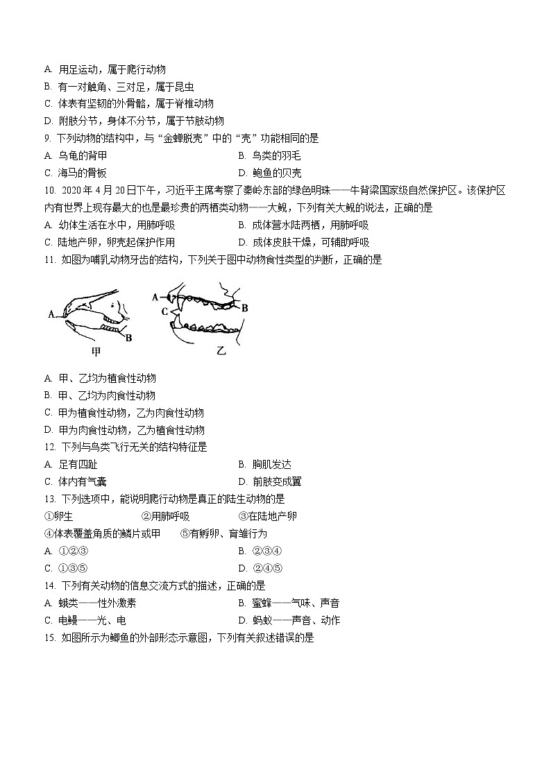 福建省三明市尤溪县2022-2023学年八年级上学期期中生物试题(含答案)第2页
