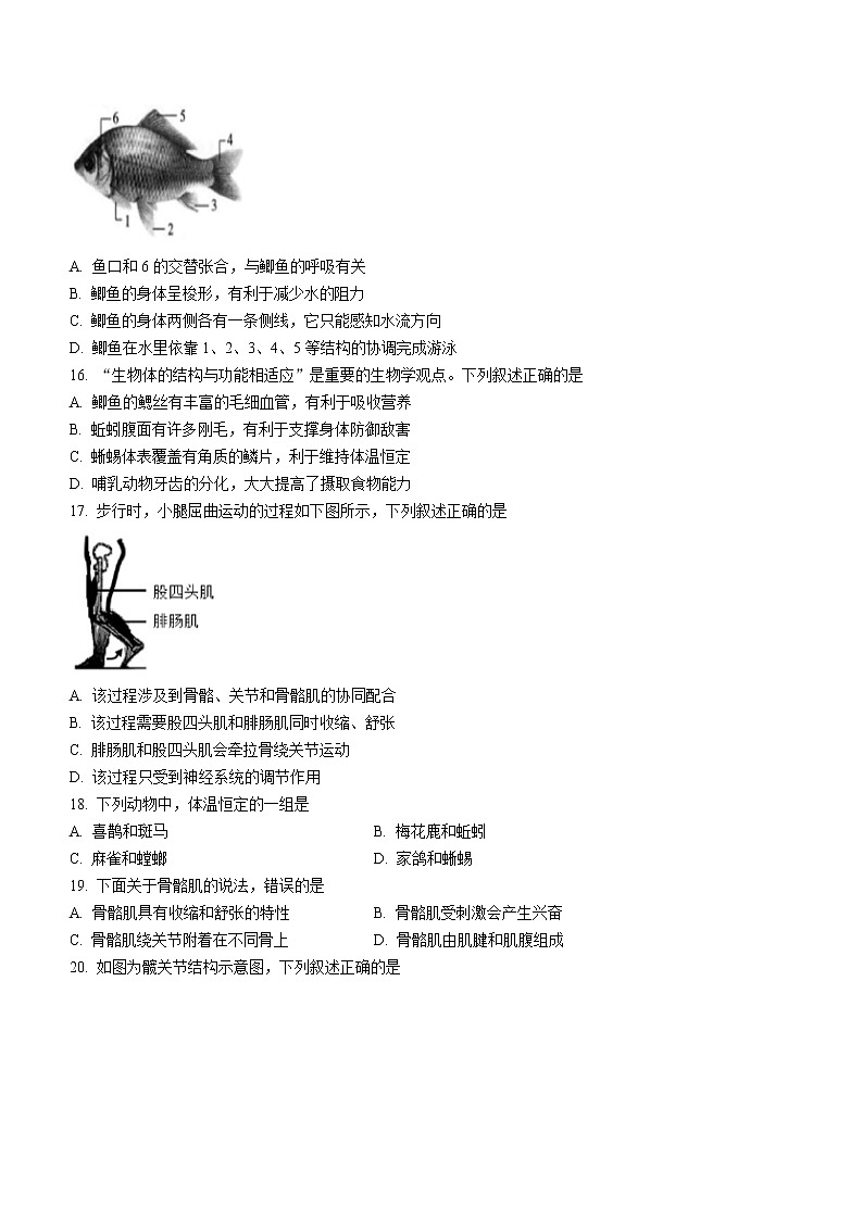 福建省三明市尤溪县2022-2023学年八年级上学期期中生物试题(含答案)第3页