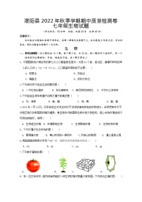 广西桂林市灌阳县2022-2023学年七年级上学期期中质量检测生物试题(含答案)