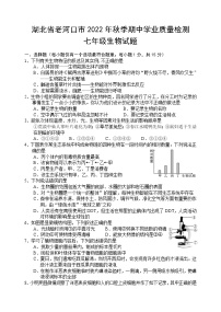 湖北省襄阳市老河口市2022-2023学年七年级上学期期中学业质量检测生物试题(含答案)