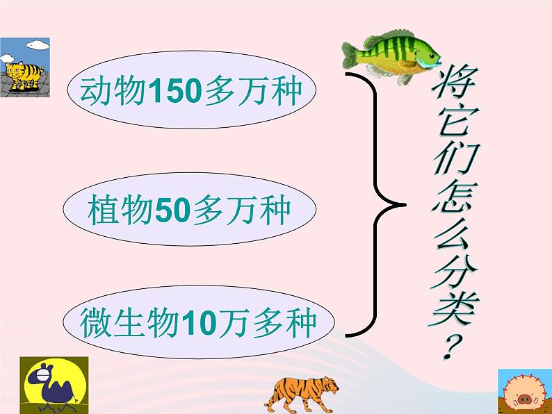 2022人教版八年级生物上册第六单元生物的多样性及其保护第一章根据生物的特征进行分类第一节尝试对生物进行分类课件1第5页