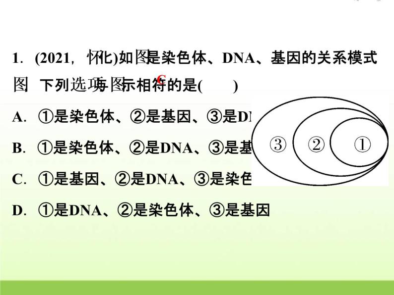 中考生物复习第11讲遗传与进化精练课件02