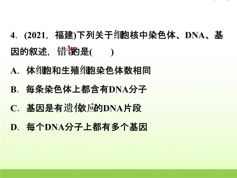 中考生物复习第11讲遗传与进化精练课件05
