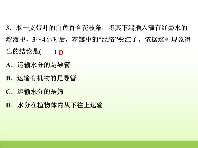中考生物复习第4讲植物的新陈代谢(1)精练课件03