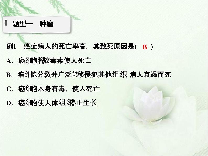 中考生物复习微专题12非传染性疾病精讲本课件第2页