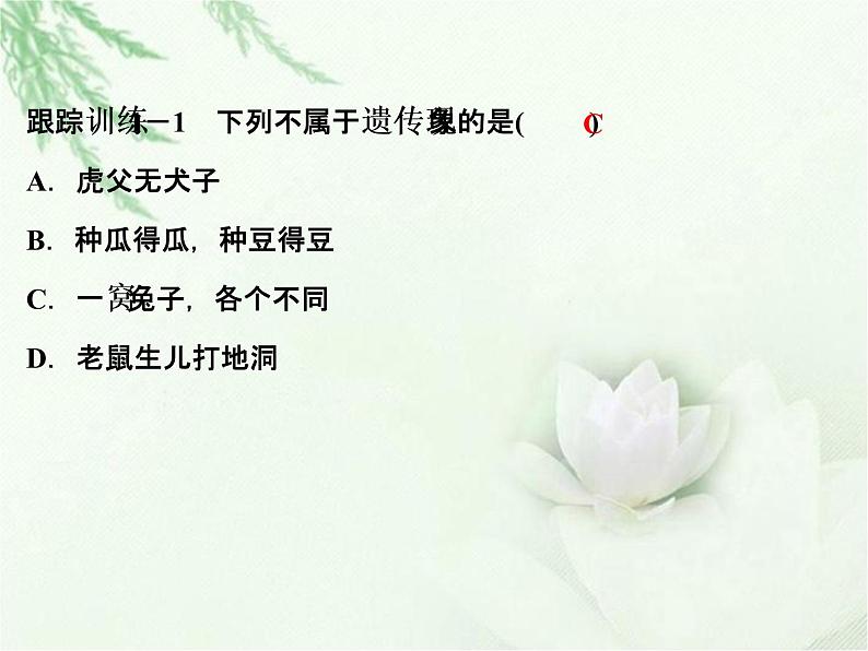 中考生物复习微专题8遗传与变异精讲本课件第4页