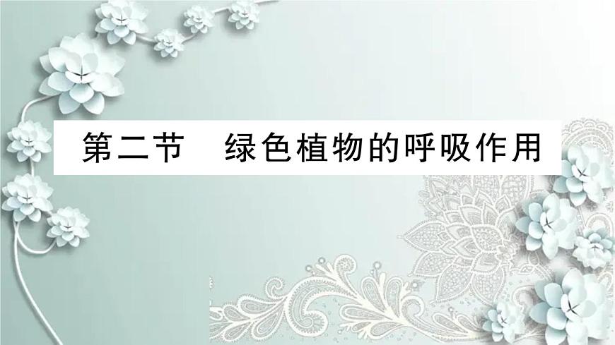 人教版生物七年級(jí)上冊(cè) 第二節(jié) 綠色植物的呼吸作用 課件第1頁(yè)
