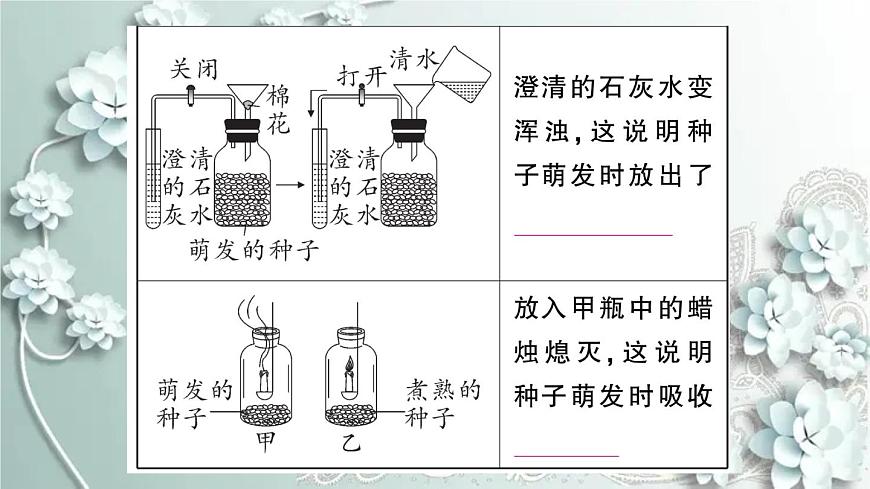 人教版生物七年級(jí)上冊(cè) 第二節(jié) 綠色植物的呼吸作用 課件第3頁(yè)