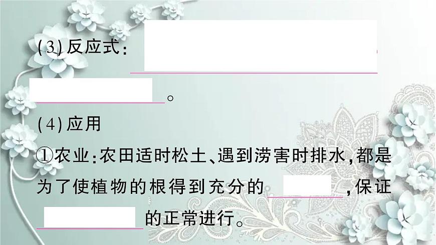 人教版生物七年級(jí)上冊(cè) 第二節(jié) 綠色植物的呼吸作用 課件第5頁(yè)