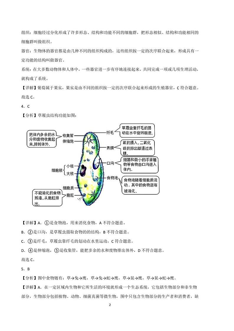 2022-2023学年七年级生物上学期期中考前必刷卷(人教版)(解析版)第2页