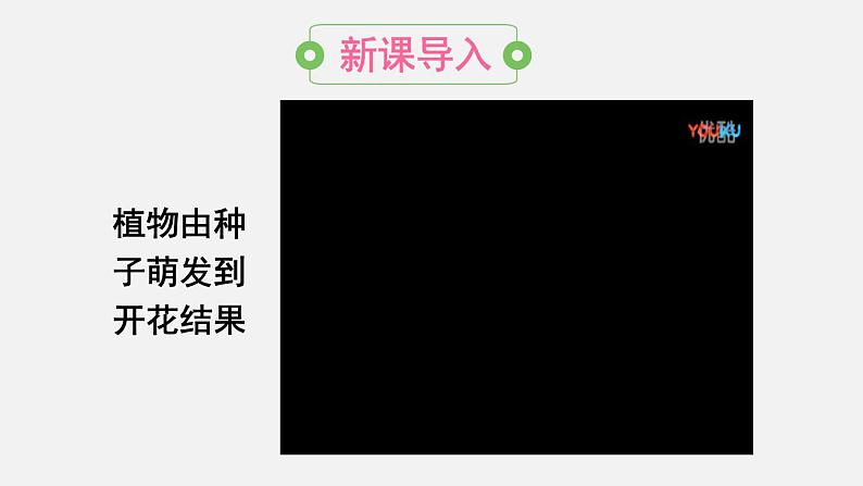 人教版八年级生物下册课件 第七单元 第一章 第一节 植物的生殖02