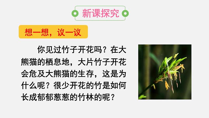 人教版八年级生物下册课件 第七单元 第一章 第一节 植物的生殖03