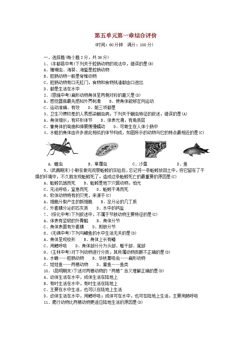 2022八年級(jí)生物上冊(cè)第五單元生物圈中的其他生物第一章動(dòng)物的主要類(lèi)群綜合評(píng)價(jià)新版新人教版第1頁(yè)