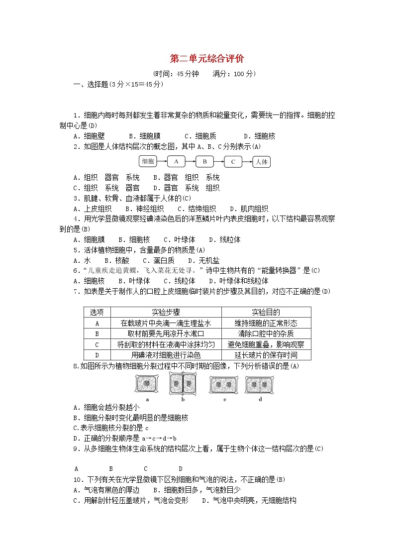 2022七年级生物上册第二单元生物体的结构层次综合评价新版新人教版 试卷01